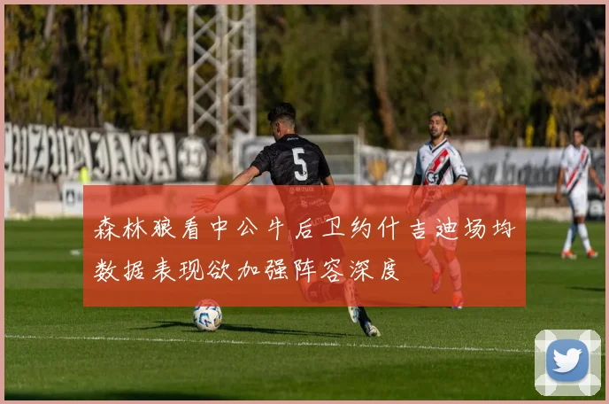 森林狼看中公牛后卫约什吉迪场均数据表现欲加强阵容深度