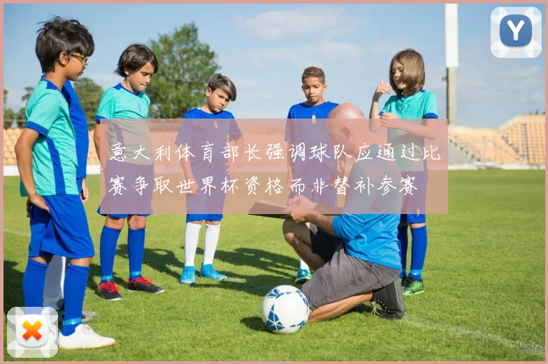 意大利体育部长强调球队应通过比赛争取世界杯资格而非替补参赛